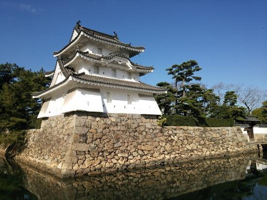 Tamamo Park